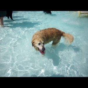 Meet your Posher, Angie