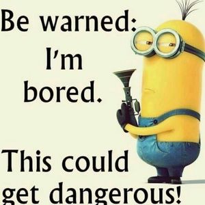 Meet your Posher, Yaraliz