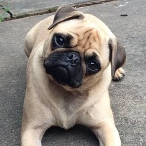 Meet your Posher, Brandy