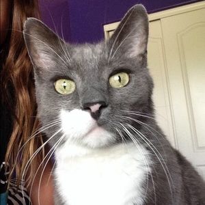 Meet your Posher, Odette