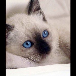 Meet your Posher, Melinda