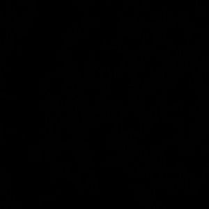 Meet your Posher, Lorena