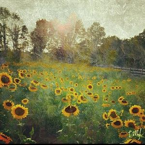 Meet your Posher, Tanya