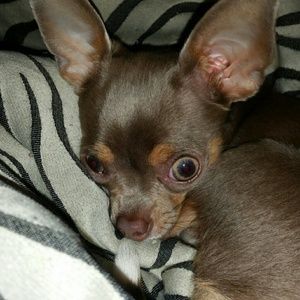 Meet your Posher, Erin