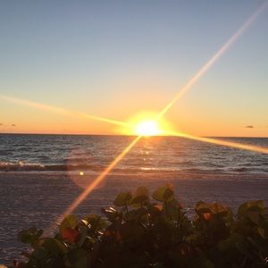 Meet your Posher, Bea