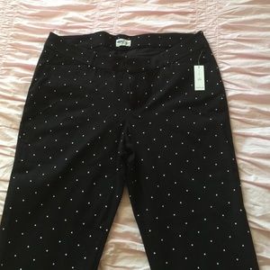 Brand new Pixie Pants