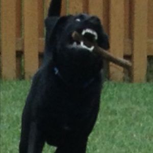 Meet your Posher, Grant