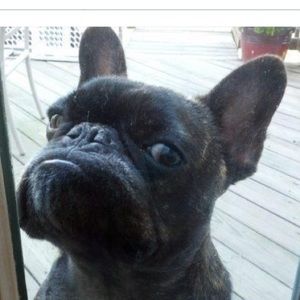 Meet your Posher, Addie