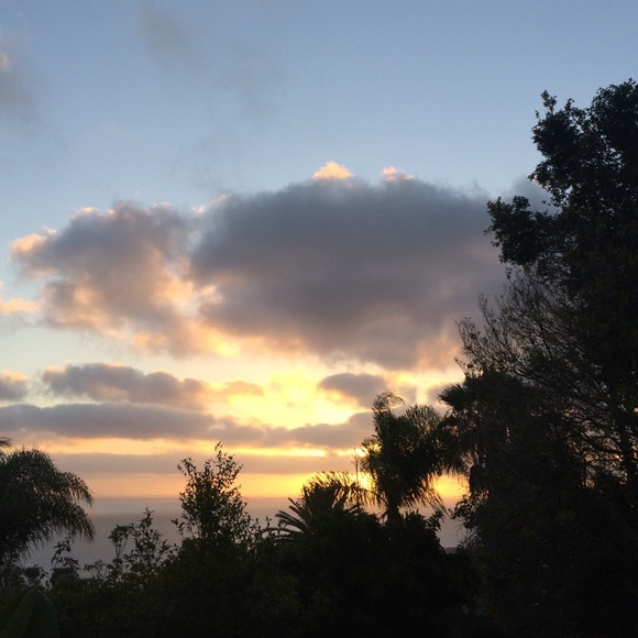 Meet your Posher, Diana - Picture 1 of 1