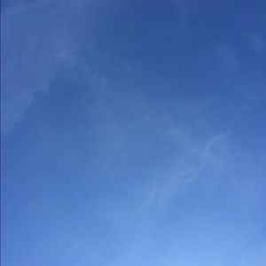 Meet your Posher, Dylan