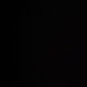 Meet your Posher, Nikita