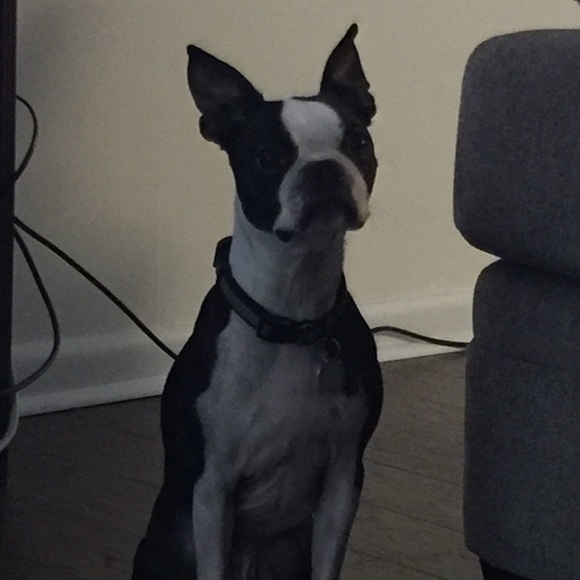 Meet your Posher, Whitney - Picture 1 of 1