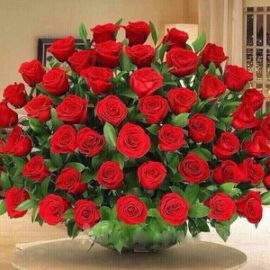 Meet your Posher, Stella