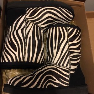 Zebra uggs