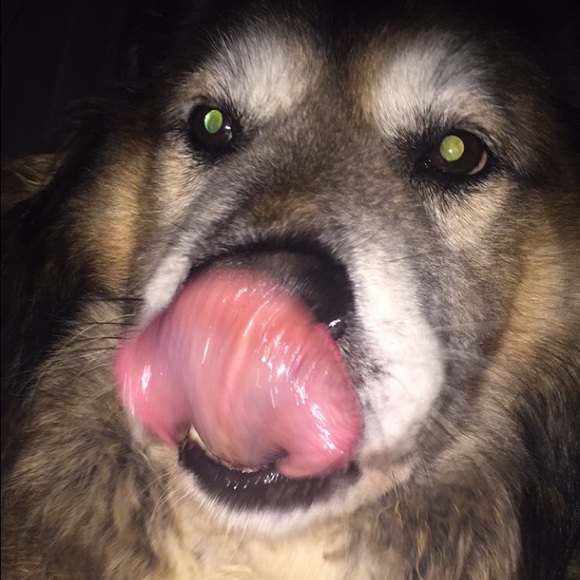 Meet your Posher, Kiersten - Picture 1 of 1