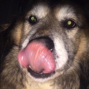 Meet your Posher, Kiersten