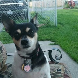 Meet your Posher, Deborah