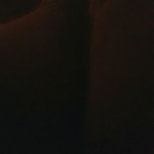 Meet your Posher, Sierra