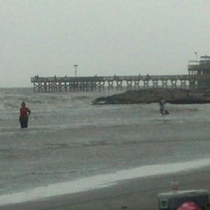 Meet your Posher, Bev