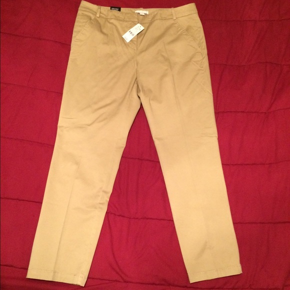 New York & Company slacks