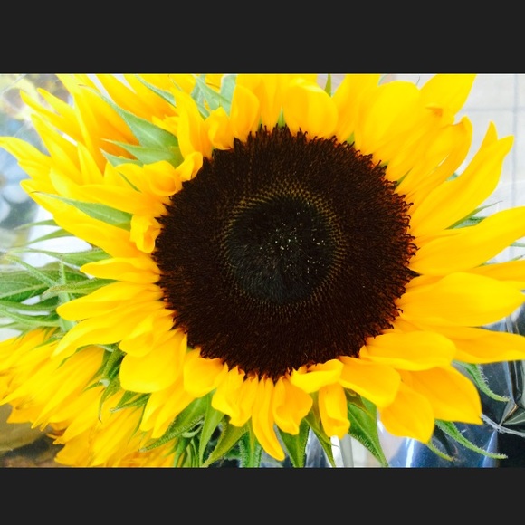 Meet your Posher, Aim - Picture 1 of 1