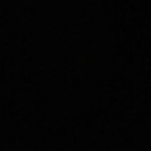 Meet your Posher, Tracey