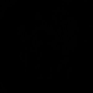 Meet your Posher, Bobbye