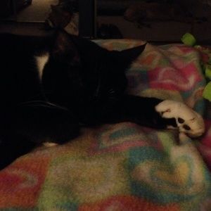 Meet your Posher, Ashley