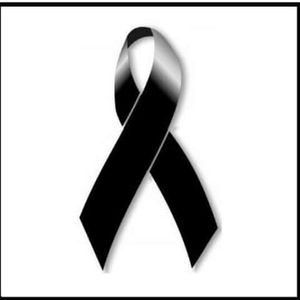 Meet your Posher, Renato n