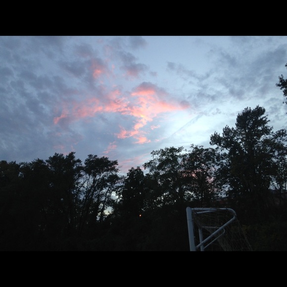 Meet your Posher, Lilly