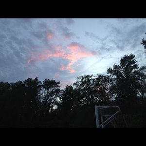 Meet your Posher, Lilly