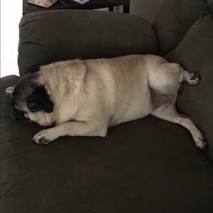 Meet your Posher, Rob