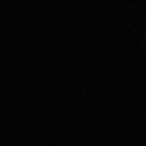 Meet your Posher, Patty