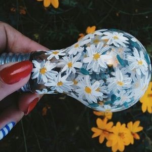 Meet your Posher, Kyla