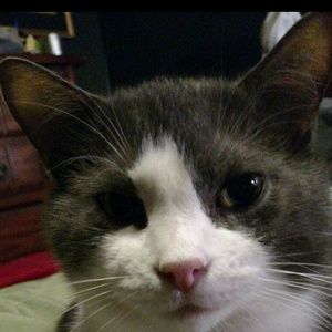 Meet your Posher, Beth