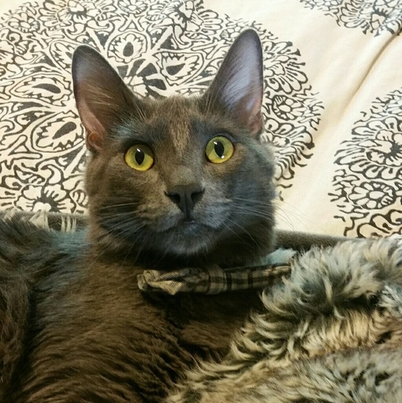 Meet your Posher, Sandra - Picture 3 of 8