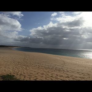 Meet your Posher, Ariel