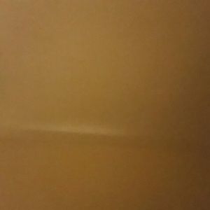 Meet your Posher, Shanell