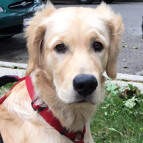 Meet your Posher, Katie