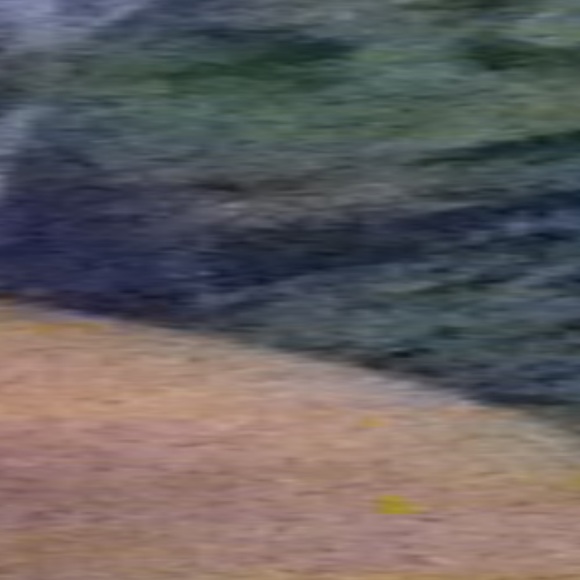 Meet your Posher, Lynda