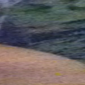 Meet your Posher, Lynda