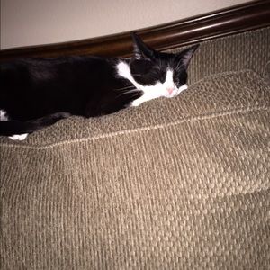 Meet your Posher, Nancy