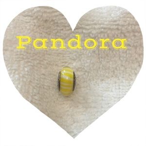 Authentic Pandora murano glass charm