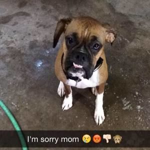 Meet your Posher, Niki