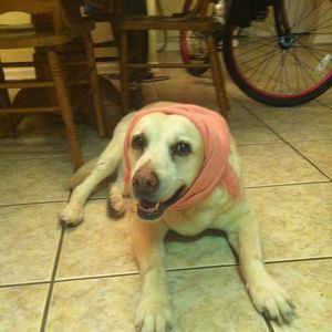 Meet your Posher, Candice