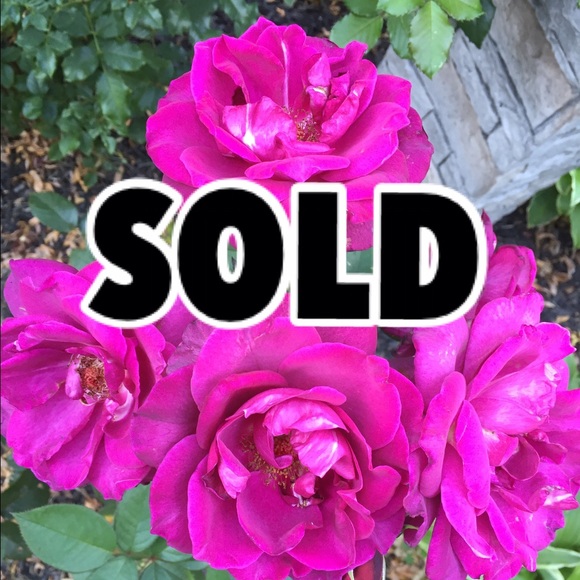 All Items Past This Point Are Sold😝