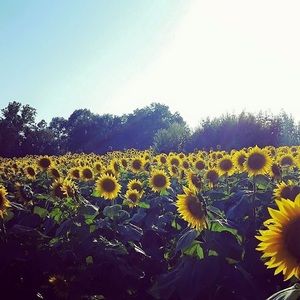 Meet your Posher, Wendy