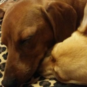 Meet your Posher, Mindy