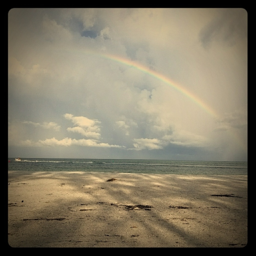 Meet your Posher, Ella