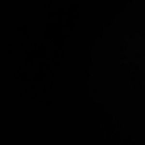 Meet your Posher, Breanna